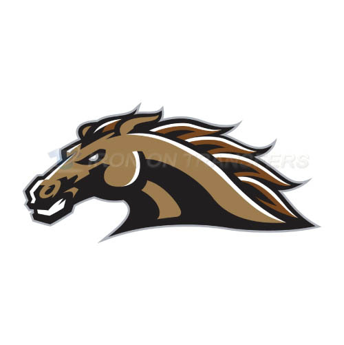 Western Michigan Broncos Iron-on Stickers (Heat Transfers)NO.6993